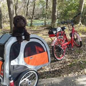 2021 Pedego Boomerang Red