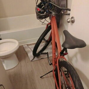 2022 Other Brown and Black