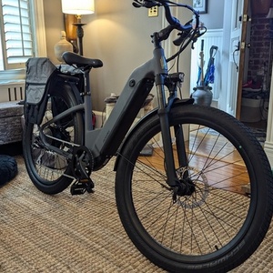 2025 Ride1Up LMTD Silver, gray or bare metal