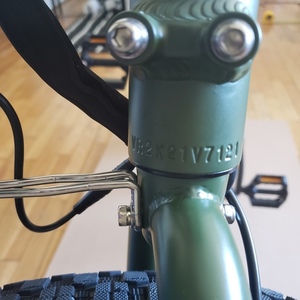 2021 Rad Power Bikes Radrunner 2 Green