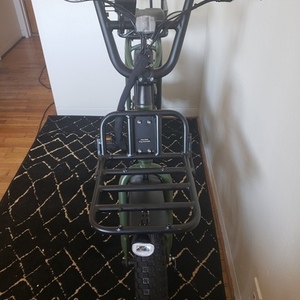 2021 Rad Power Bikes Radrunner 2 Green