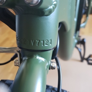 2021 Rad Power Bikes Radrunner 2 Green