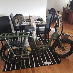 2021 Rad Power Bikes Radrunner 2 Green