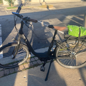 2019 Gazelle EasyFlow Black