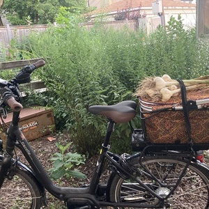 2019 Gazelle EasyFlow Black