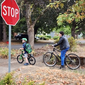 Schwinn Discover Black, Silver, gray or bare metal, and Yellow or Gold