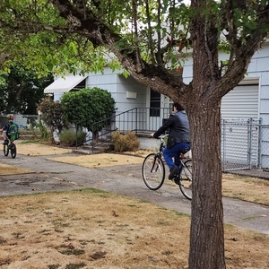 Schwinn Discover Black, Silver, gray or bare metal, and Yellow or Gold