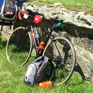 2015 Trek Silque Red