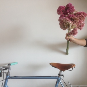 1980 Miyata TWO TEN Blue