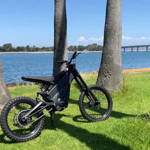 2025 Talaria XXX Pro Black