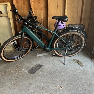2025 Trek Green
