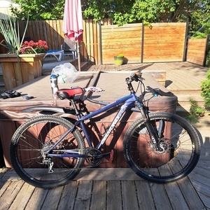 Diamondback Blue and Stickers tape or other cover-up