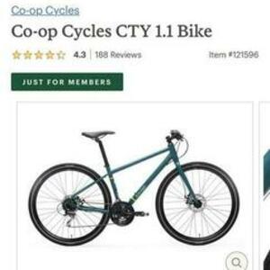 2025 REI Co-op CTY1.1 Blue