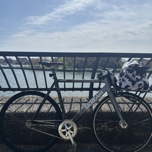 2022 skream magnum 22 Silver, gray or bare metal and Black