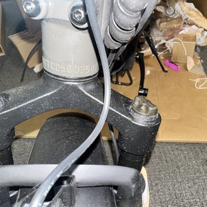 Lectric eBikes XP4 750 Step Thru Silver, gray or bare metal