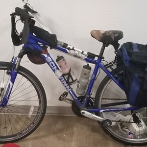 2014 Schwinn dual sport Blue