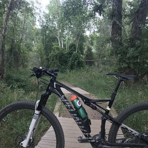 Specialized Stumpjumper M4 Comp Black