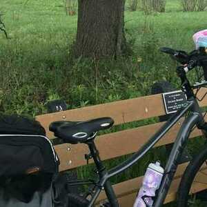 2017 Trek Neko 3 Silver, gray or bare metal