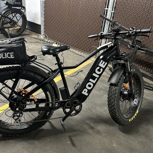 2024 Vamoose cycles Mammoth (police) Black