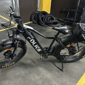 2024 Vamoose cycles Mammoth (police) Black