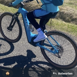 2024 All City E-Hardtail Blue