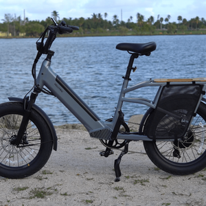 Velotric Go 1 Silver, gray or bare metal