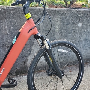 2025 REI Co-op CTY e2.1 Red