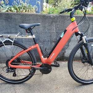 2025 REI Co-op CTY e2.1 Red