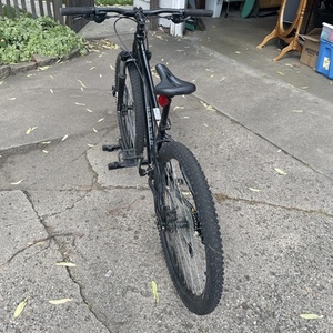 2025 Raleigh Talus 3 Black