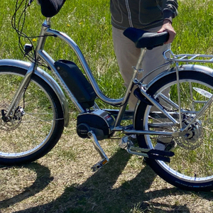 2020 Electra Women's Townie Go 8i Silver, gray or bare metal