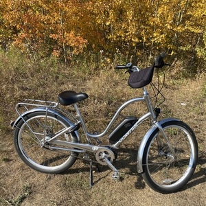 2020 Electra Women's Townie Go 8i Silver, gray or bare metal