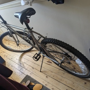 Trek Mt. Track 220 Silver, gray or bare metal