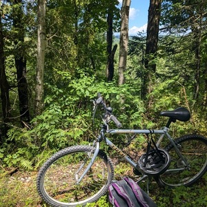 Trek Mt. Track 220 Silver, gray or bare metal