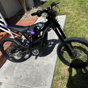 2025 Falcon Black and Purple