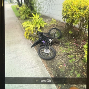 2025 Falcon Black and Purple