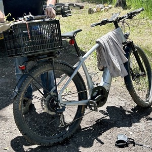 2021 Trek Allant Silver, gray or bare metal