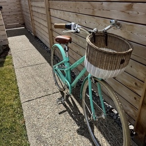 Norco Bikes Town Bike w/ Basket Teal and Blue