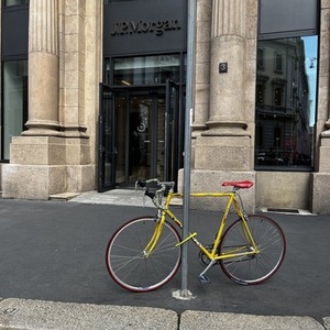 1991 Olmo Yellow or Gold