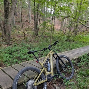 2024 Cannondale Moterra 3 Green