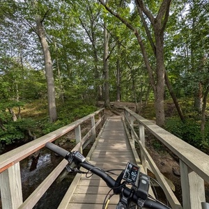 2024 Cannondale Moterra 3 Green