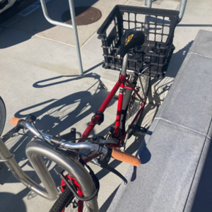 1996 Bianchi Timberwolf Red