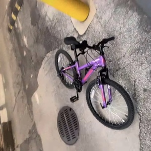 2024 Nishiki PUEBLO Purple