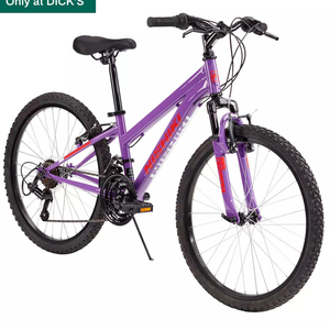 2024 Nishiki PUEBLO Purple