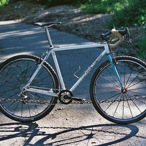 Rock Lobster custom  White