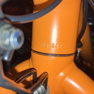 2021 Rad Power Bikes RadWagon Orange