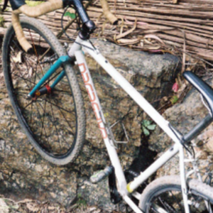 Rock Lobster custom  White