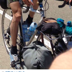 Rock Lobster custom  White