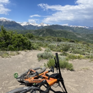 2023 Orbea Occam Orange