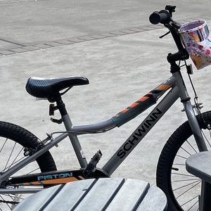 2025 Schwinn Piston Silver, gray or bare metal