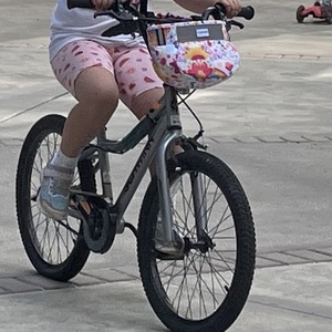 2025 Schwinn Piston Silver, gray or bare metal